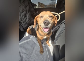 Frida - der Sonnenschein