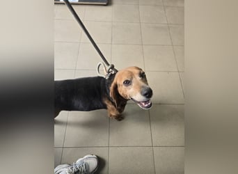 Frida - der Sonnenschein