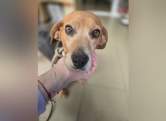 Frida - der Sonnenschein