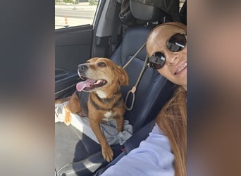 Frida - der Sonnenschein