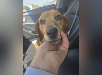 Frida - der Sonnenschein