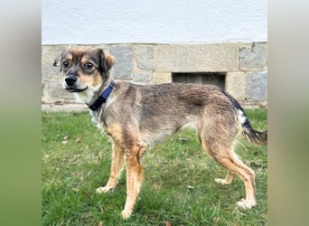 Niabi - ist verschmust