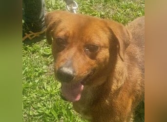 Ruppert sucht ein Zuhause