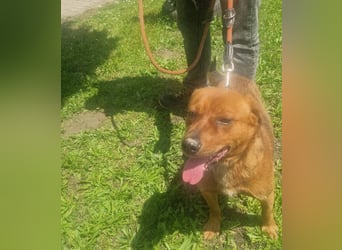 Ruppert sucht ein Zuhause