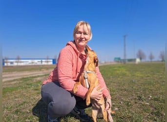 Amie, offene Begleiterin, ca. 2 Jahre, ca. 32 cm, ca. 7 kg