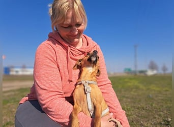 Amie, offene Begleiterin, ca. 2 Jahre, ca. 32 cm, ca. 7 kg