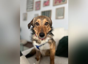 Haily - sucht geduldige Herzensmenschen