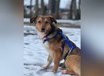 Haily - sucht geduldige Herzensmenschen