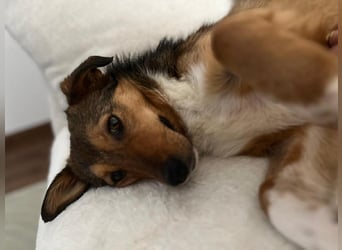 Haily - sucht geduldige Herzensmenschen