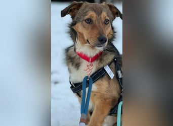 Haily - sucht geduldige Herzensmenschen