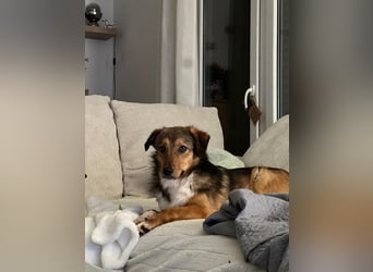 Haily - sucht geduldige Herzensmenschen