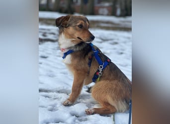 Haily - sucht geduldige Herzensmenschen