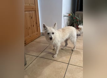 Lucy verliert leider ihr Zuhause