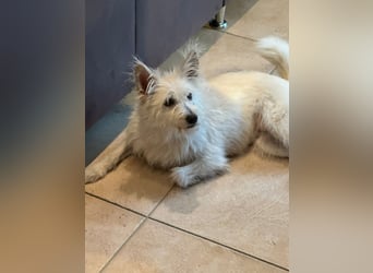 Lucy verliert leider ihr Zuhause