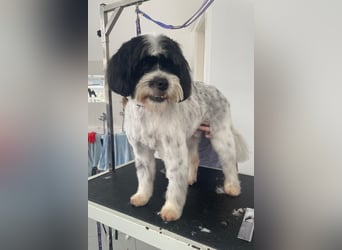 Lakis sehnt sich nach Liebe und Geborgenheit