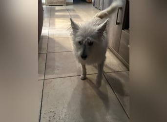 Lucy verliert leider ihr Zuhause