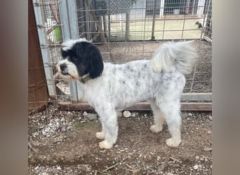 Lakis sehnt sich nach Liebe und Geborgenheit