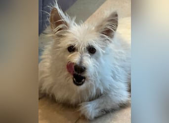 Lucy verliert leider ihr Zuhause