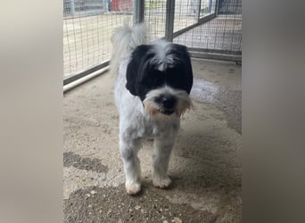 Lakis sehnt sich nach Liebe und Geborgenheit