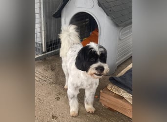 Lakis sehnt sich nach Liebe und Geborgenheit