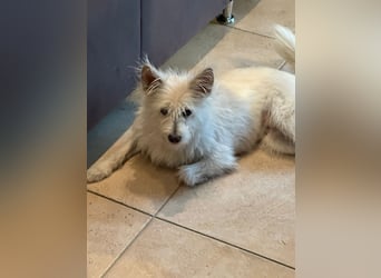 Lucy verliert leider ihr Zuhause