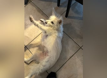 Lucy verliert leider ihr Zuhause