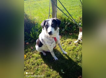 Finja und Lou suchen Dich