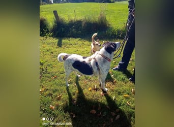 Finja und Lou suchen Dich