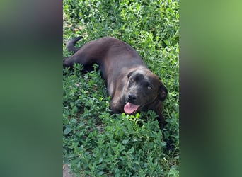 Kleine Tessa ( * 05/2025 ) sucht ihre Menschen