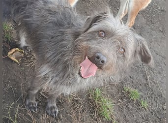 Kleine Paris ( * 10.2019 ) sucht ihre Familie