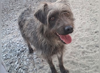 Kleine Paris ( * 10.2019 ) sucht ihre Familie