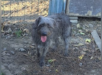 Kleine Paris ( * 10.2019 ) sucht ihre Familie