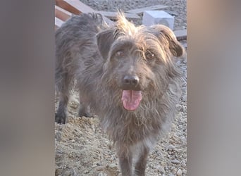 Kleine Paris ( * 10.2019 ) sucht ihre Familie