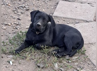 Kleine Tessa ( * 05/2025 ) sucht ihre Menschen