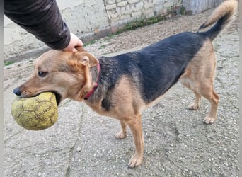 Kleiner Jesse ( * 06/2019 ) sucht seine Menschen