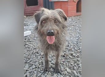 Kleine Paris ( * 10.2019 ) sucht ihre Familie