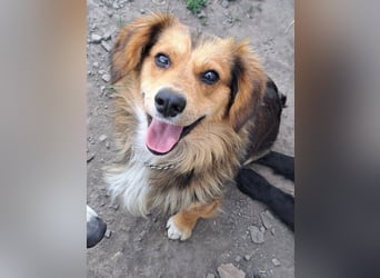 Kleiner Teddy (*07/2024 ) sucht seine Familie
