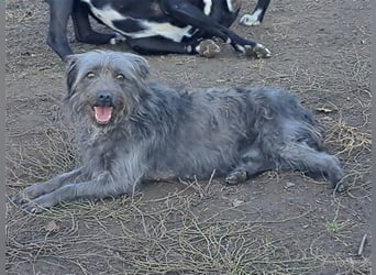 Kleine Paris ( * 10.2019 ) sucht ihre Familie