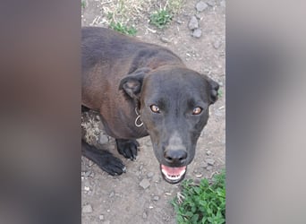 Kleine Tessa ( * 05/2025 ) sucht ihre Menschen