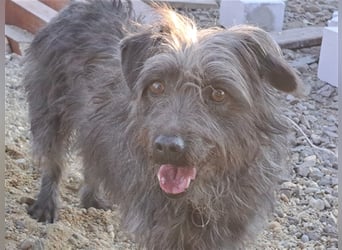 Kleine Paris ( * 10.2019 ) sucht ihre Familie