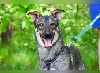 Liebevolle Olivka sucht ihren platz