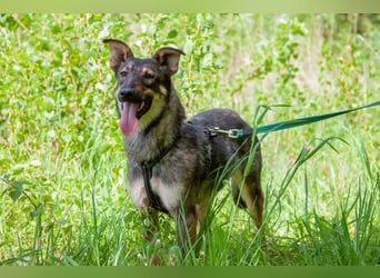 Liebevolle Olivka sucht ihren platz