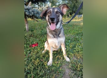 Verzaubert Lori dich mit ihren augen ?!