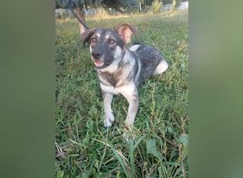 Verzaubert Lori dich mit ihren augen ?!