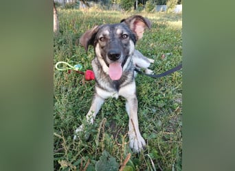 Verzaubert Lori dich mit ihren augen ?!