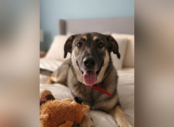 Verzaubert Lori dich mit ihren augen ?!