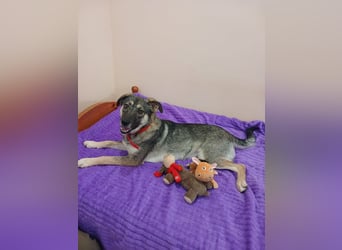 Verzaubert Lori dich mit ihren augen ?!