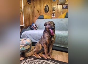 Ein Herz für Vasilisa geben Sie ihr eine Chance auf ein glückliches Leben!