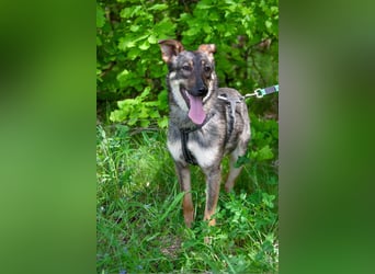 Liebevolle Olivka sucht ihren platz