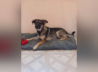 Verzaubert Lori dich mit ihren augen ?!